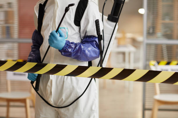 Professional Sewage Cleanup technician working in Demarest, NJ